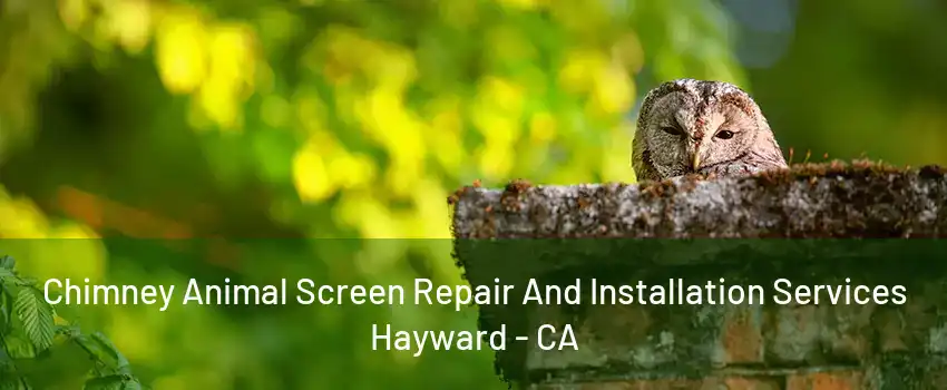 Chimney Animal Screen Repair And Installation Services Hayward - CA