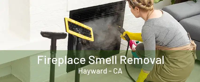 Fireplace Smell Removal Hayward - CA