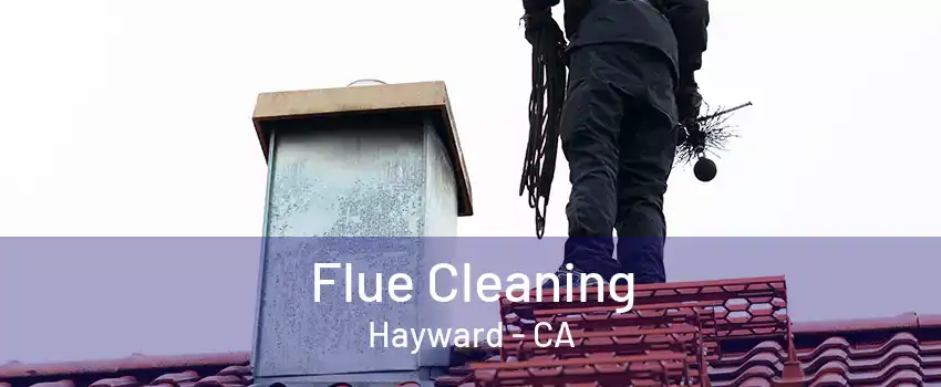 Flue Cleaning Hayward - CA