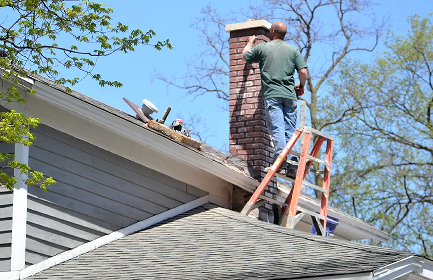 Chimney & Fireplace Inspections Services in Hayward